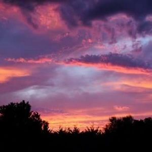 Meet your Posher, Hailey